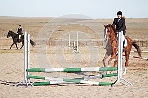 Sport, training and equestrian with woman on horse for show, competition and performance. Fitness, derby and health with