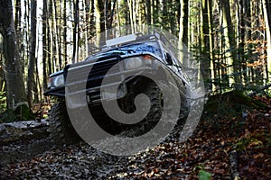 Sport utility vehicle or SUV overcomes obstacles. Offroad race on fall nature background. Motor racing in autumn forest