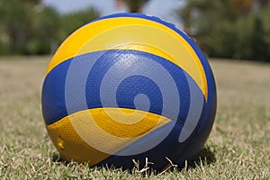 sport volleyball in grass photo