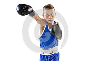 Sportive little boy, kid in boxer gloves and shorts training isolated on white studio background. Concept of sport