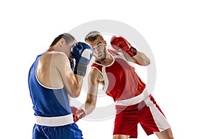 Sportive men, two professional boxer in sports uniform practicing punch  on white background. Concept of sport