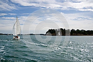 Sportive sailboat in the Ocean