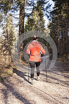 Sportive woman Nordic walking cross country