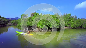 Sportman sailing sea kayak in mangrove canal