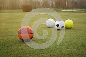 Sports balls on grass field