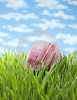 Sports Cricket Ball Grass Background