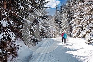 sports Cross-country skiing in the Snow Footprints in the woods