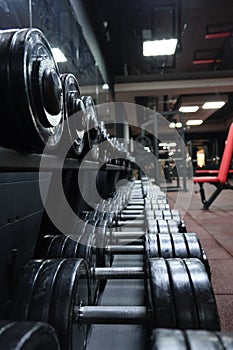 Sports equipment for strength exercises in weightlifting and bodybuilding