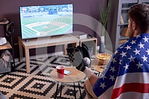 Sports fan watching baseball match at home on TV