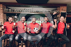 Sports fans sitting in line celebrating and cheering drinking beer at sports bar.