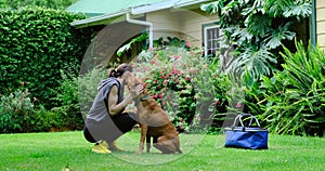 sports girl on green grass plays with a beautiful dog in the yard of the house