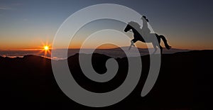 Sports girl riding a horse at countryside in a field, isolated image, black silhouette on a sunset background, against morning sky