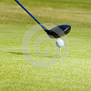 Sports, golf and ball on course with club for playing game, practice and training for competition. Professional golfer