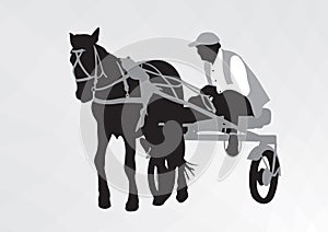 Sports horse carriage