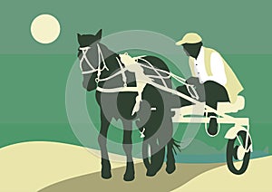Sports horse carriage