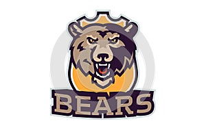 Sports logo with bear mascot. Colorful sport emblem with bear, grizzly mascot and bold font on shield background. Logo