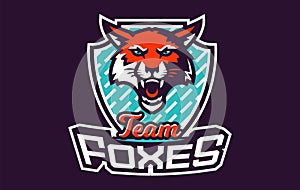 Sports logo with fox mascot. Colorful sport emblem with fox mascot and bold font on shield background. Logo for esport