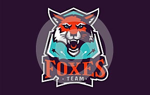 Sports logo with fox mascot. Colorful sport emblem with fox mascot and bold font on shield background. Logo for esport