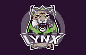 Sports logo with lynx mascot. Colorful sport emblem with lynx, bobcat mascot and bold font on shield background. Logo