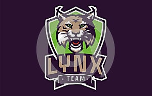 Sports logo with lynx mascot. Colorful sport emblem with lynx, bobcat mascot and bold font on shield background. Logo