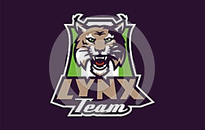 Sports logo with lynx mascot. Colorful sport emblem with lynx, bobcat mascot and bold font on shield background. Logo