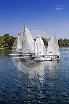 Sports sailing in Lots of Small white boats