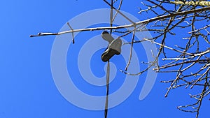 Sports shoes dangling on power cable. Pair of old sneakers hanging on electric wires. Classic blue sky background