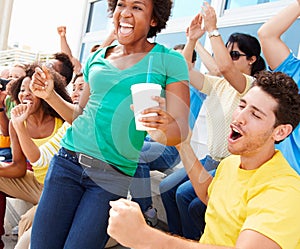 Sports Spectators In Team Colors Celebrating