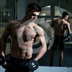 Sportsman, athlete with muscles looks attractive. Man with torso, muscular macho and his reflexion in mirror background