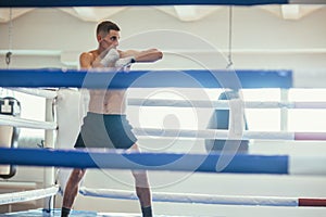 Sportsman boxer at training in boxing ring