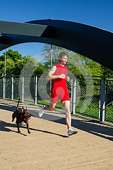 Sportsman and dog running