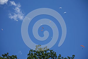 Sportsmen paragliding high in the blue clear sky
