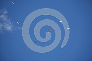 Sportsmen paragliding high in the blue clear sky