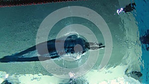 Sportswoman swimmer in a tracksuit, in diving goggles, in a swimming cap is training in the pool. The athlete dives into the water
