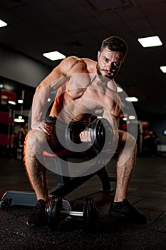 Sporty bodybuilder working out in the gym. Strong muscle male lifting big weights.