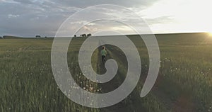 Sporty child runs through a green wheat field. Evening sport training exercises at rural meadow. A happy childhood is a