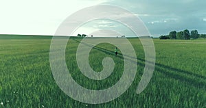 Sporty child runs through a green wheat field. Evening sport training exercises at rural meadow. A happy childhood is a