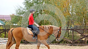 Sporty female jockey practice riding.