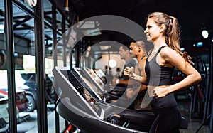 Sporty Group Running Cardio on Treadmills Exercise Burning Calorie in Fitness Gym