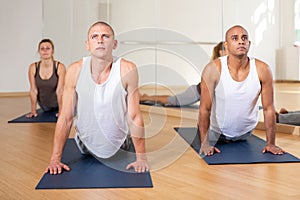 Sporty people practicing yoga training - pose bhujangasana