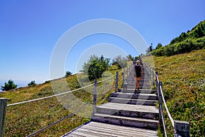 Sporty woman with her dog leash goes on a trekking hike in wooden stairs pathway to access walking of the Puy de Dome volcano