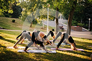 Sporty women are practicing yoga, stretching in Downward Facing Dog exercise