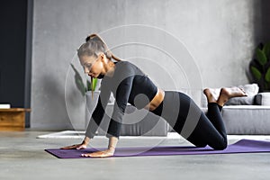 Sportywoman planking in front of laptop, living room interior, side view, copy space. Healthy young lady in sportswear exercising