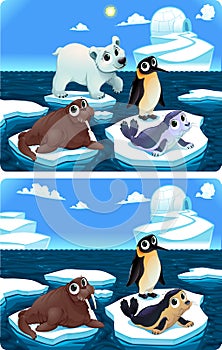 Spot the differences