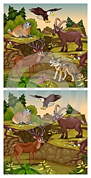 Spot the differences