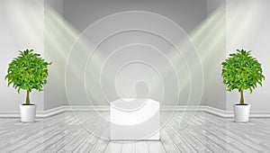 3D Modern Bright Interior Background