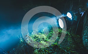 Spotlights illuminate in the forest at night
