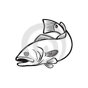 Spottail Bass Red Drum Redfish Channel Bass or Puppy Drum Jumping Down Black and White Retro