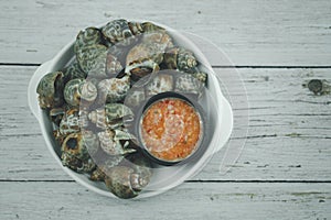 Spotted babylon Sea shell limpet, favorite appetizer seafood in Thailand