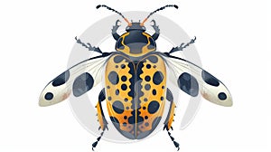 A spotted beetle is a fancy fiction icon, shown in top view. It's a fun summer animal with a spotty pattern on its